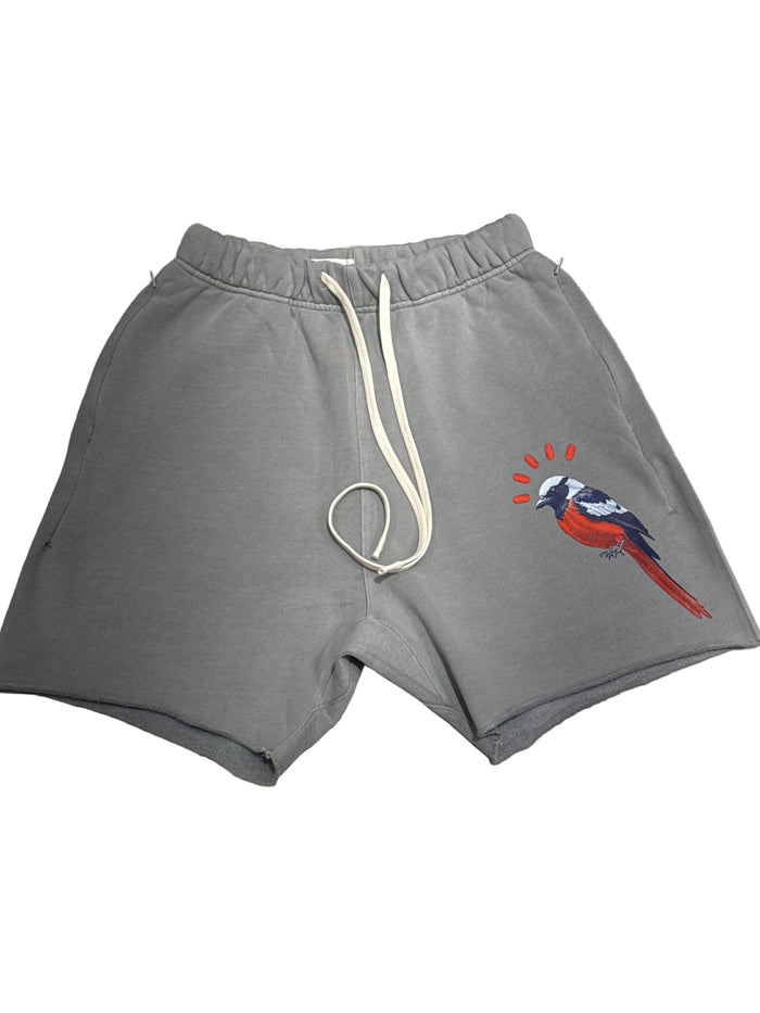 Black Label - Bird Grey Wash Short  - BLC-46G