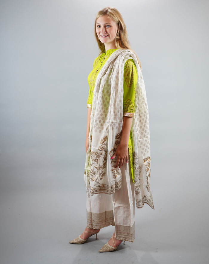 Block Printed Cotton Chartreuse Green Powder salwar Kameez