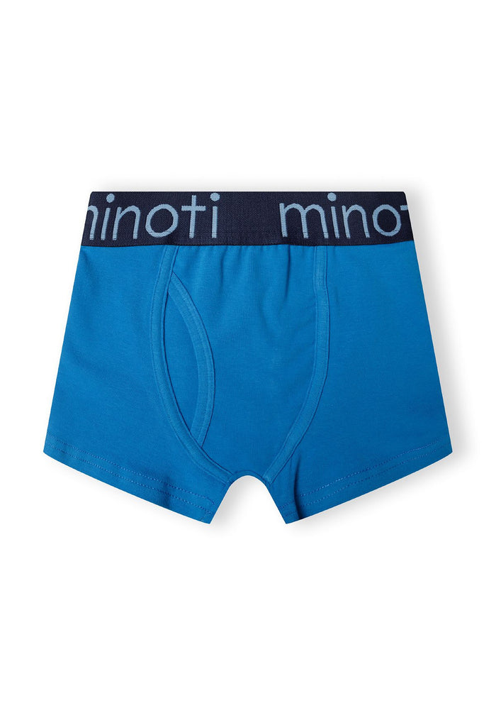 Trunks 10-Pack, Blue Mix, Branded Waistband - 3