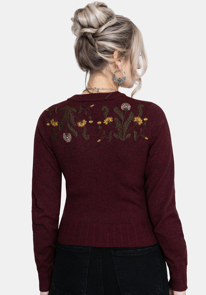 Elowyn Dandelion Embroidered Pointelle Knit Cardigan