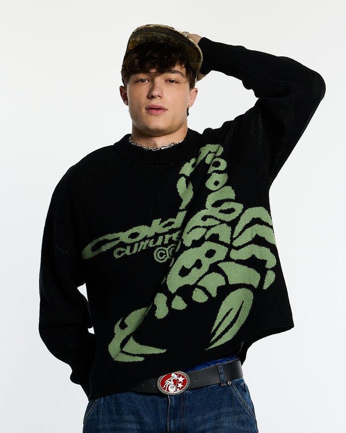 POISON KNIT BLACK AND GREEN - black graphic print knit sweater, front view on male model - Cold Culture #man