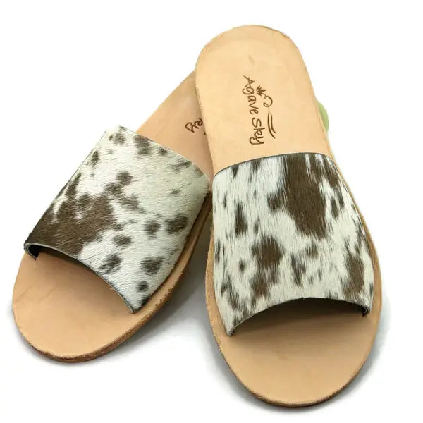 the 'hank' slides